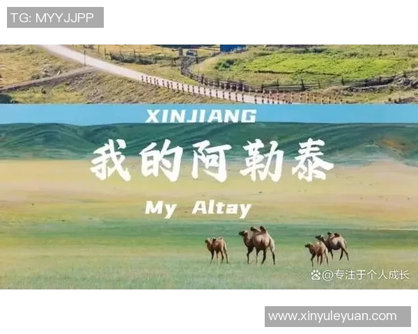 飞盘与梦想交织的旅程：杨静的深度对话与人生启示