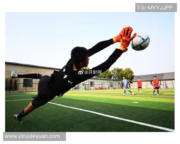 踢足球高飞的梦想与追求在绿茵场上绽放光彩